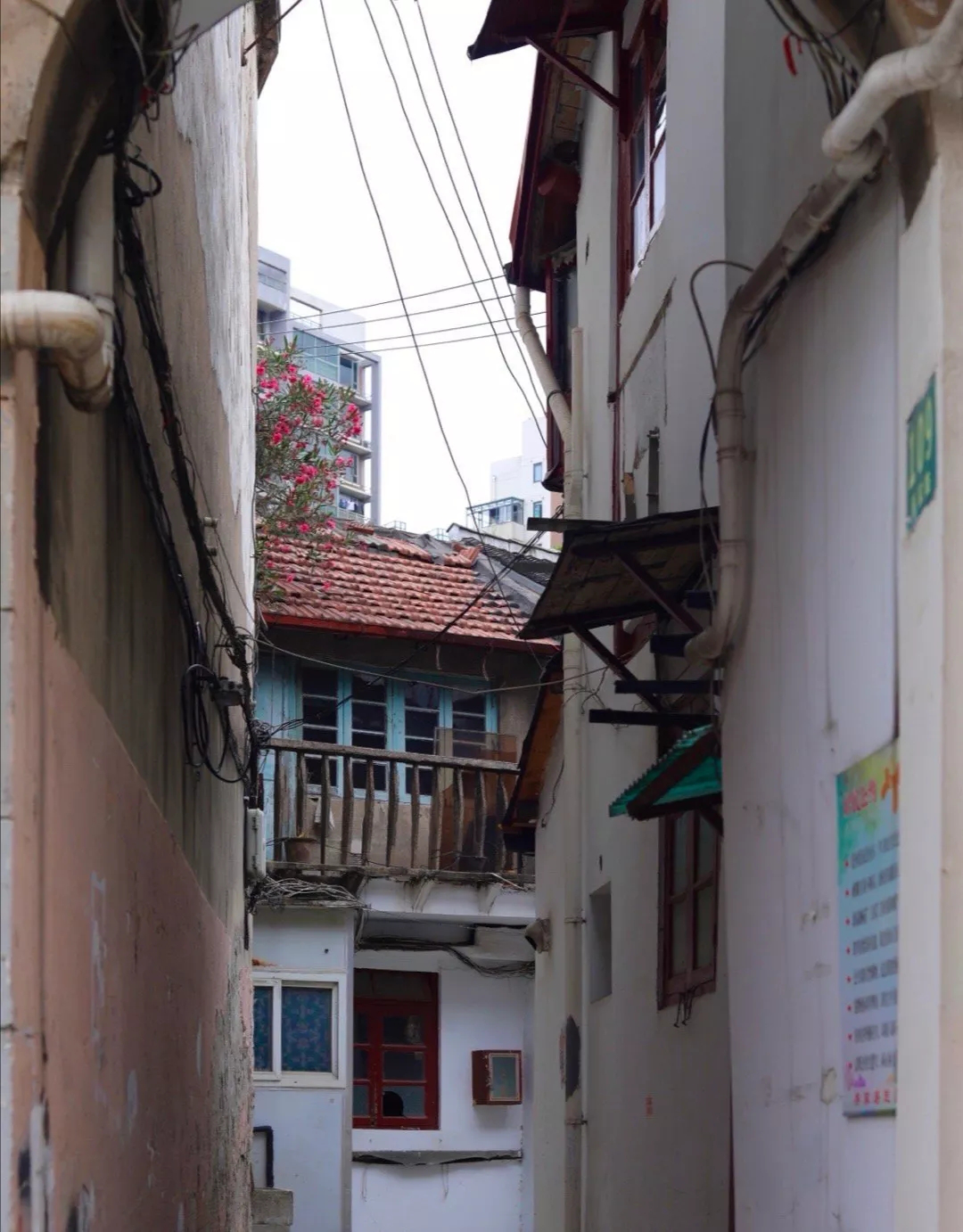 上海乔家路居民住房梦想实现：从“老破小”到住有大居