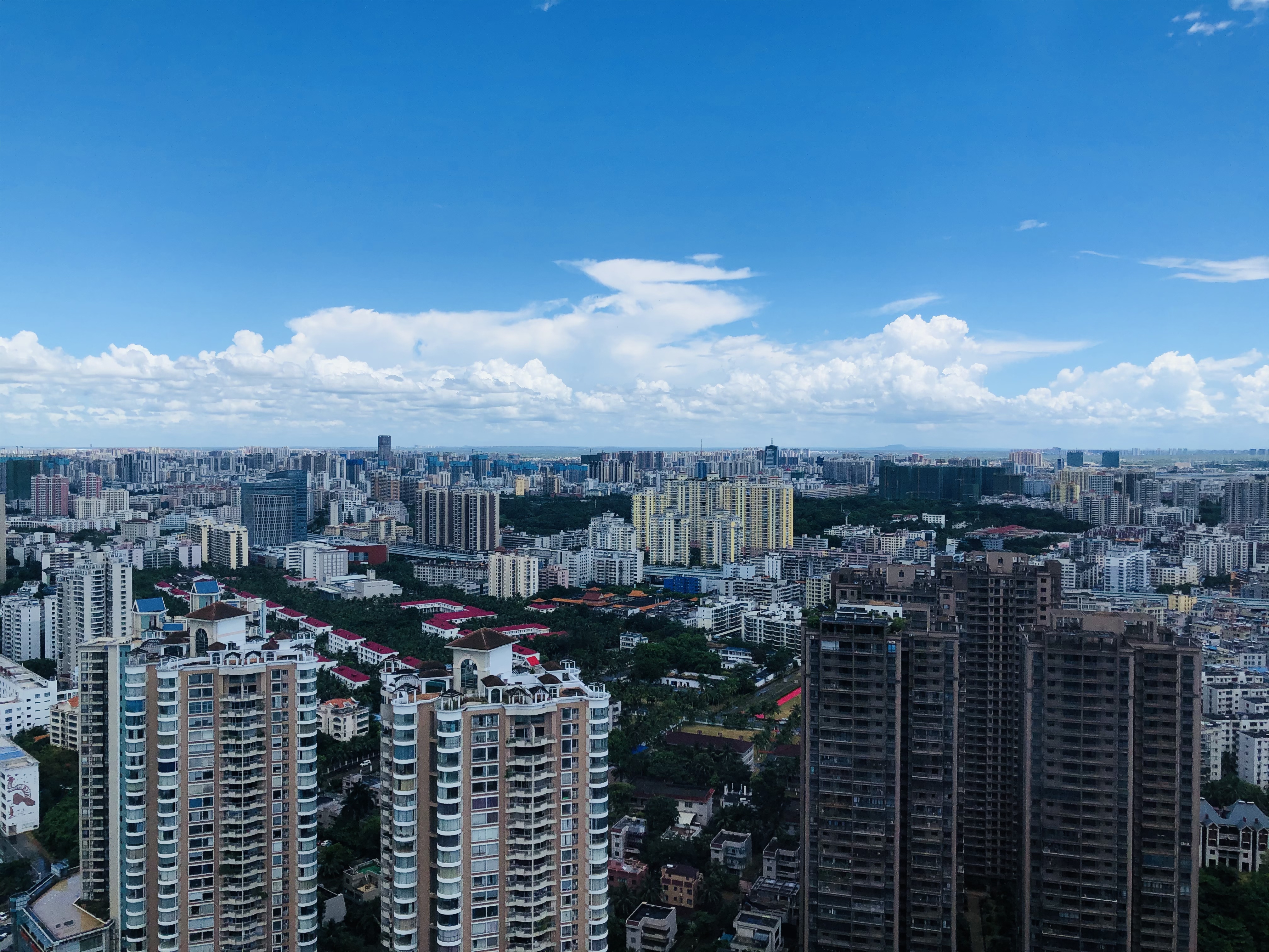 海口5 陈标志.jpg