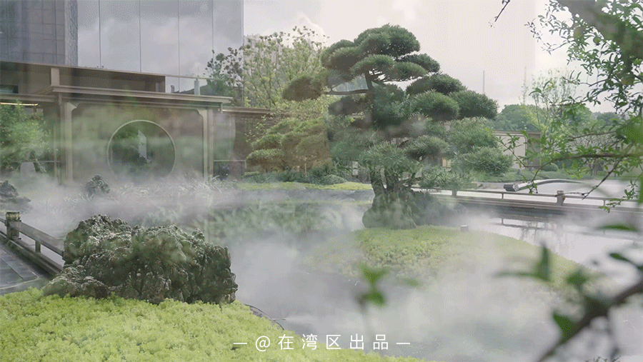 06.gif