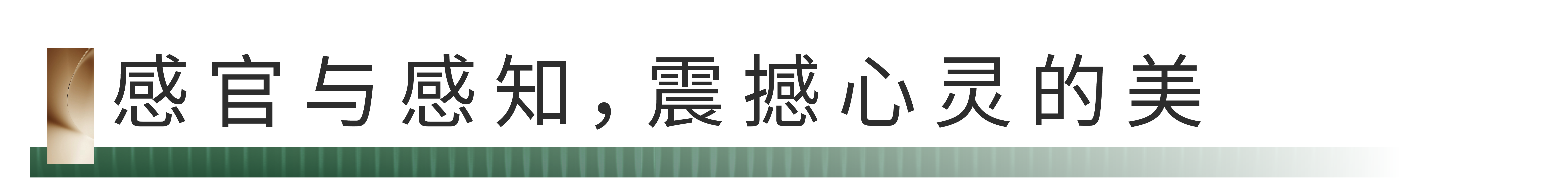 19.png