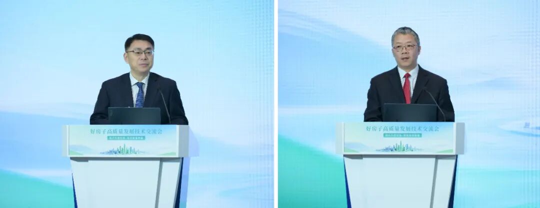 20251205_190437_007.jpg 20251205_190437_007.jpg