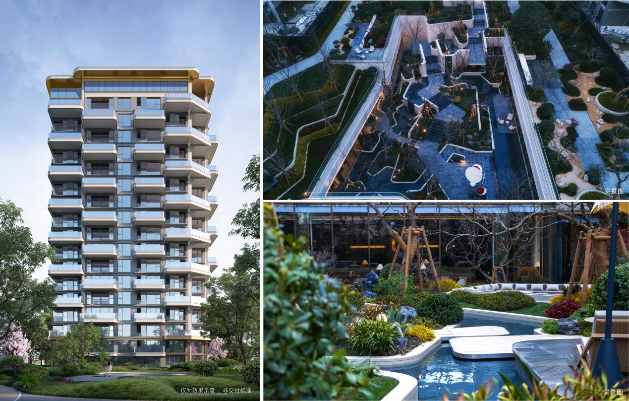 龙翔.jpg 龙翔.jpg