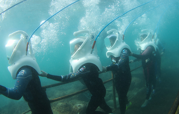 1月11日,在三亚蜈支洲岛旅游区,游客在水下体验海底漫步