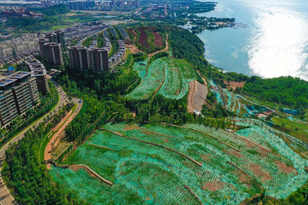 云南通报昆明滇池长腰山违建对29个责任单位58名责任人追责问责